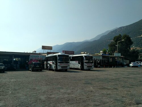 Sandal kiygan tranny porno video