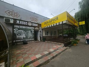 Живое пиво (ulitsa Kosmonavtov, 3), bar, pub