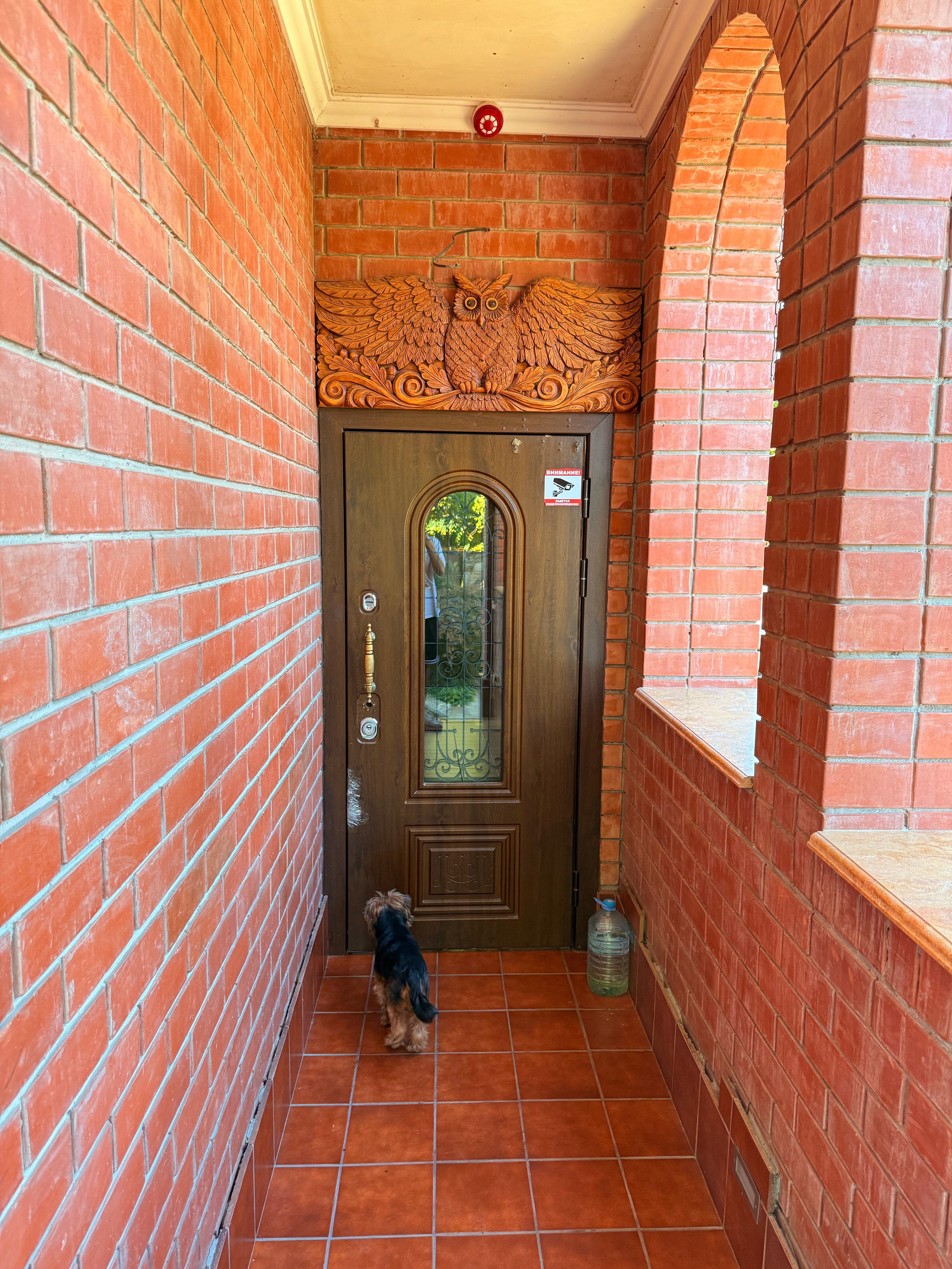 Фото Саксония