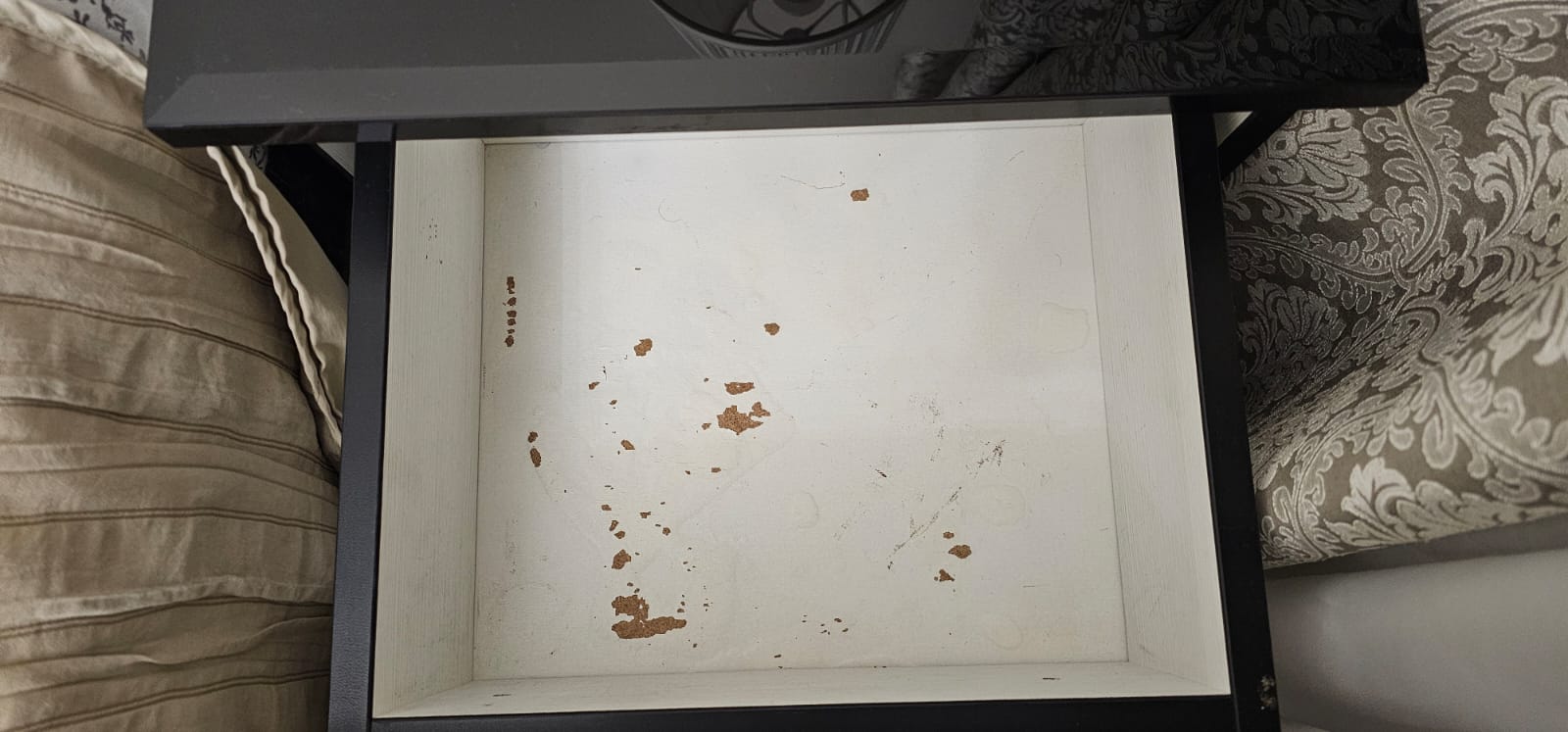 Фото Mwa Dmitrovsky