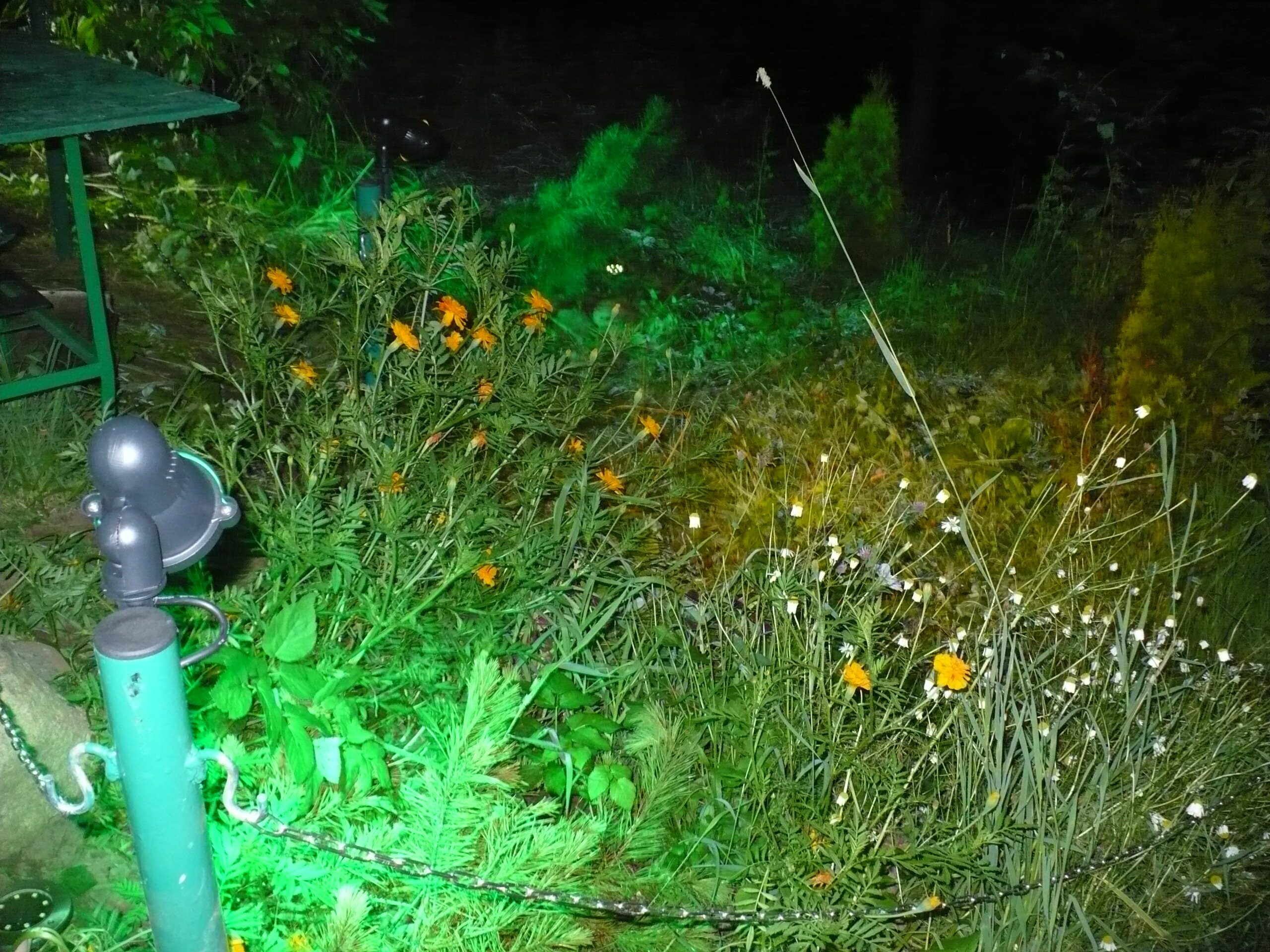 Фото Домик на горке