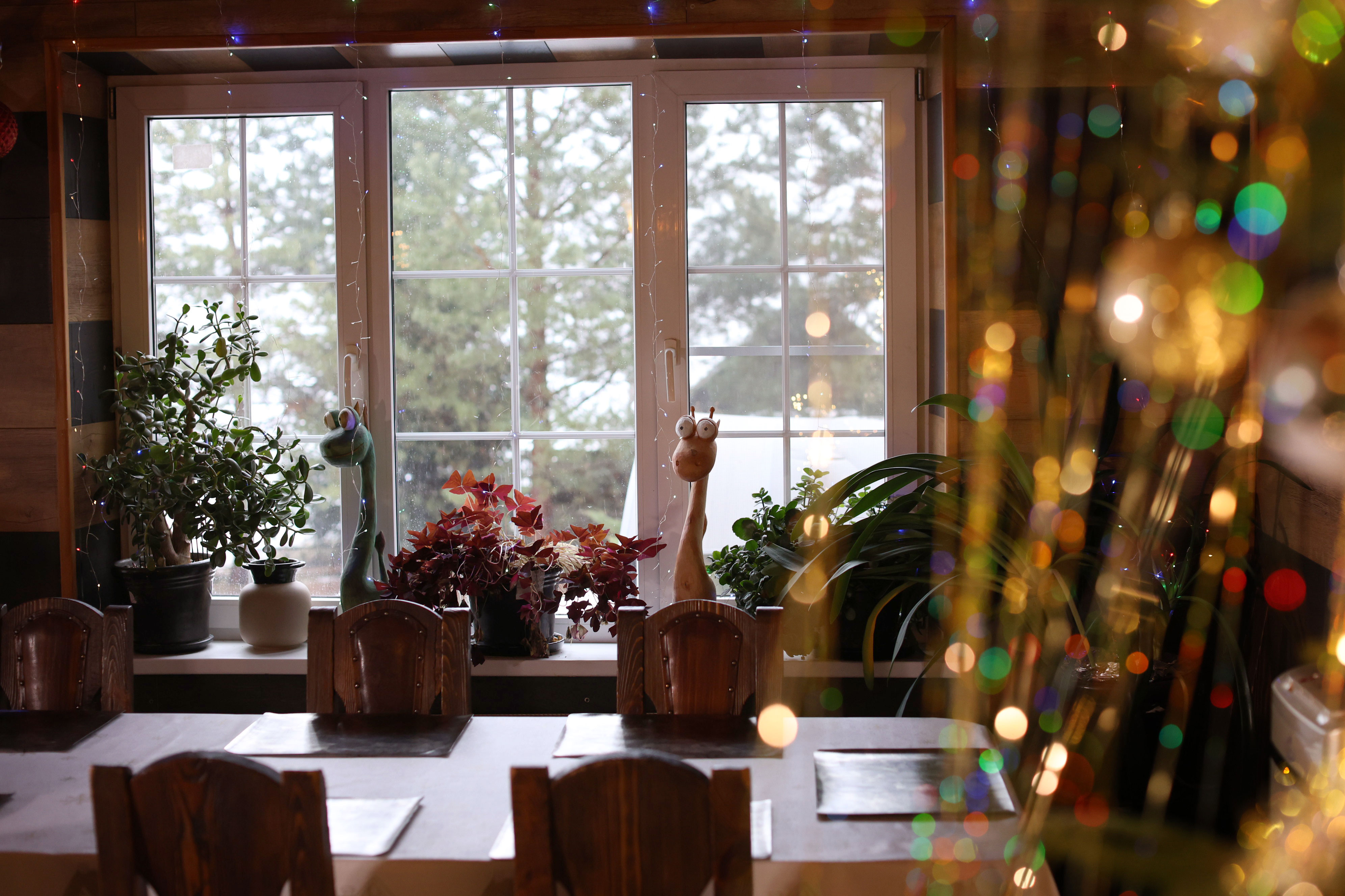 Фото Ура, Селигер!