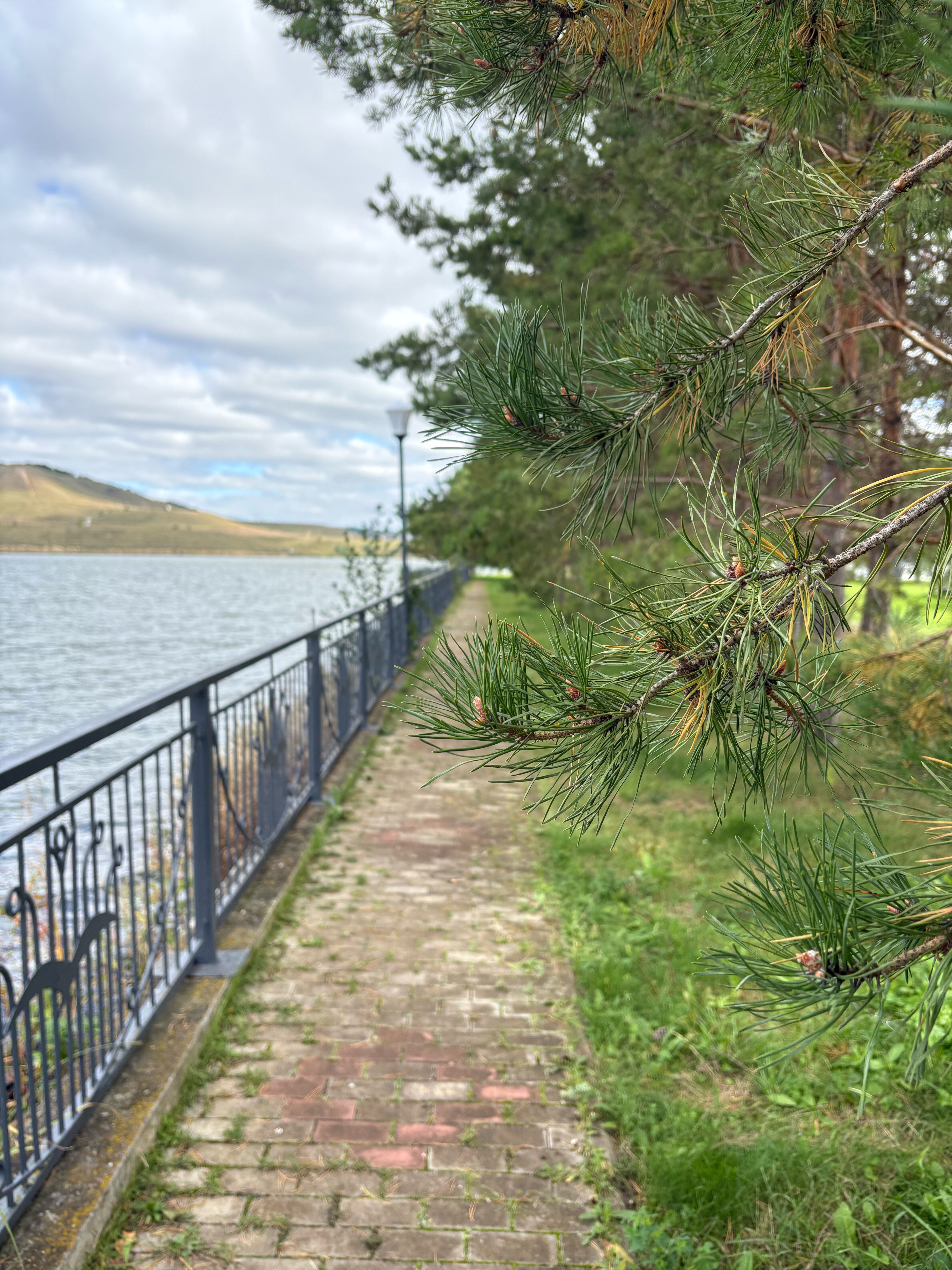 Фото Парк-отель Новая земля