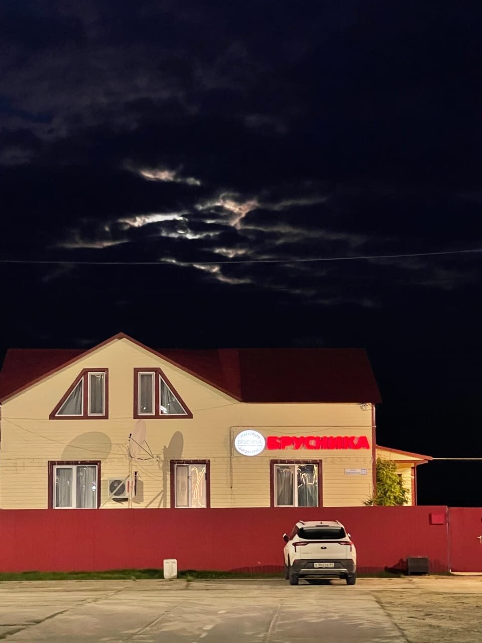 Фото Брусника