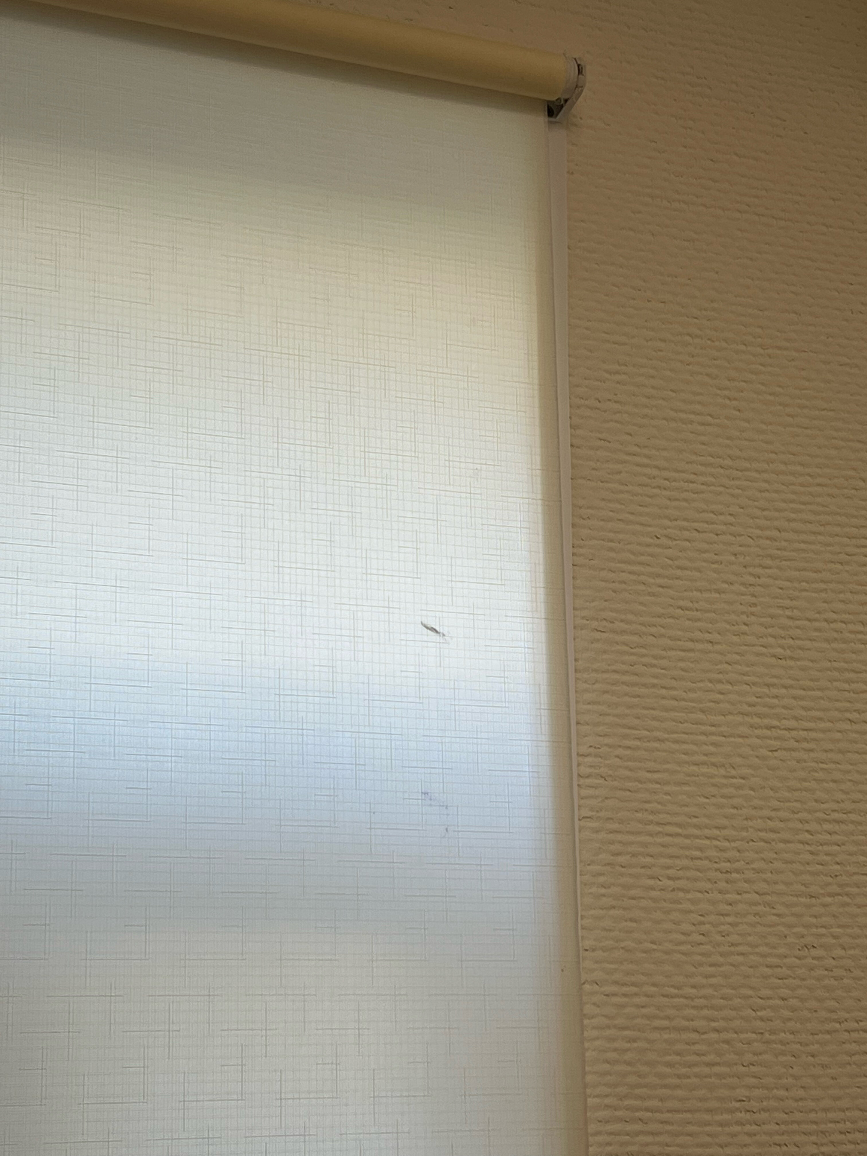 Фото Центральная