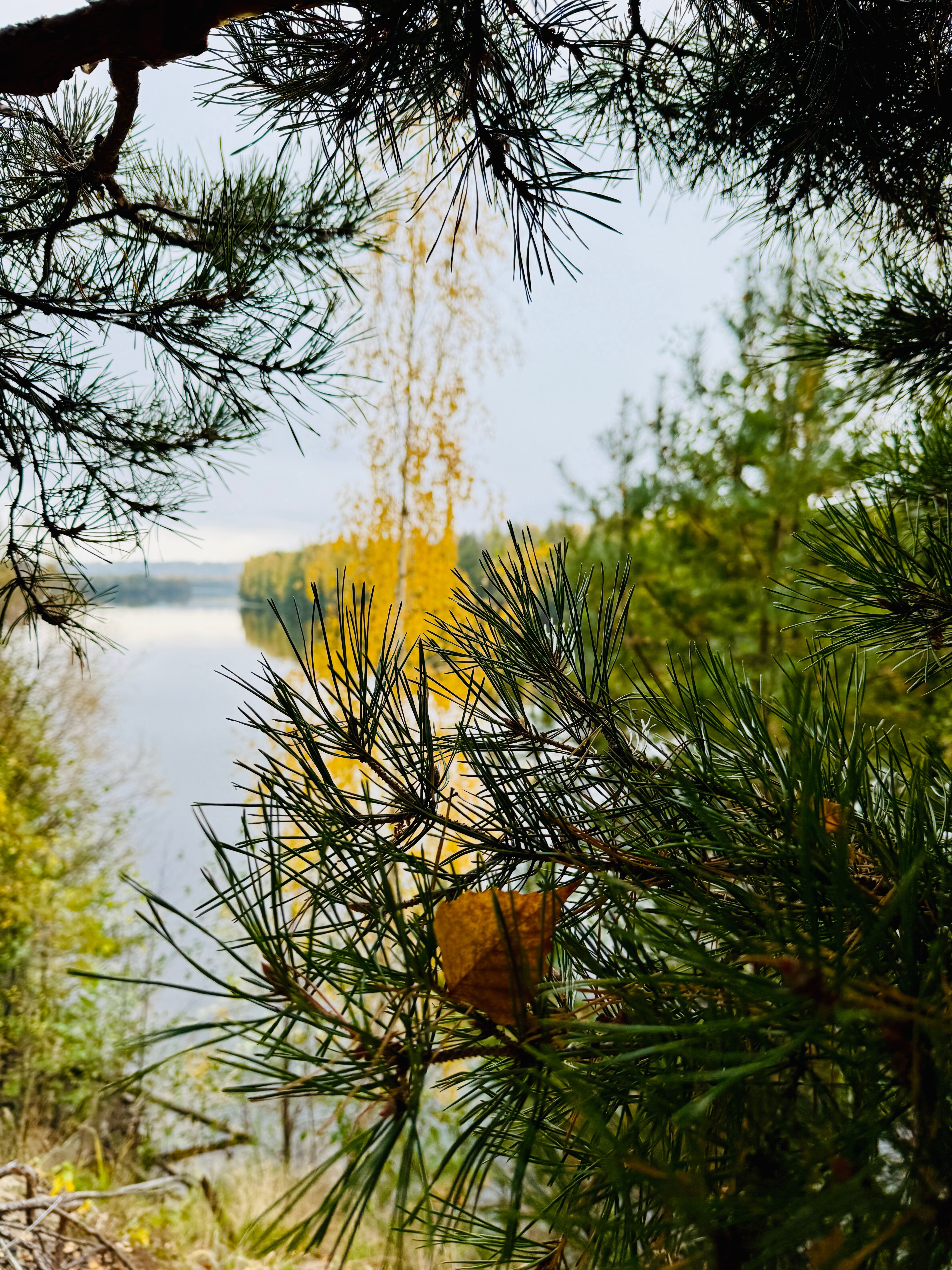 Фото Волшебная Заводь