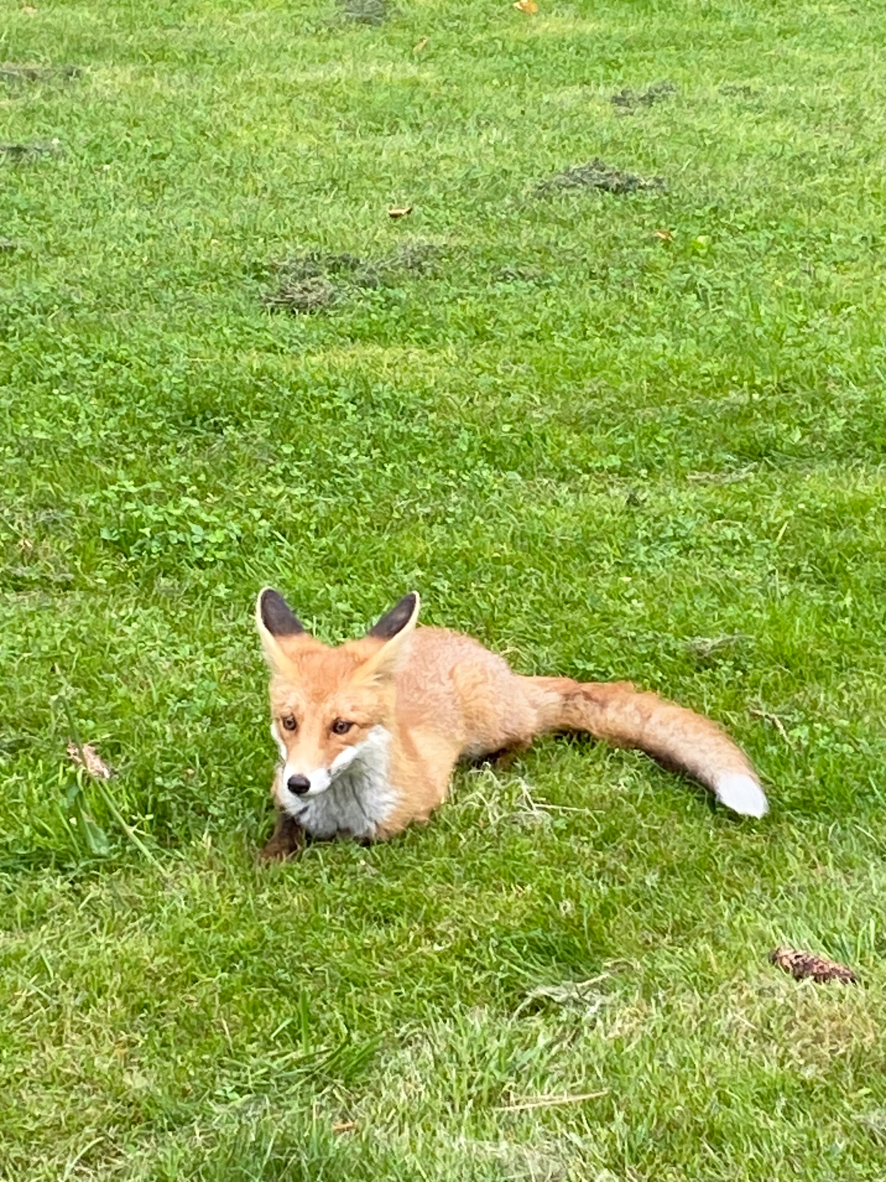 Фото Санаторий Радуга