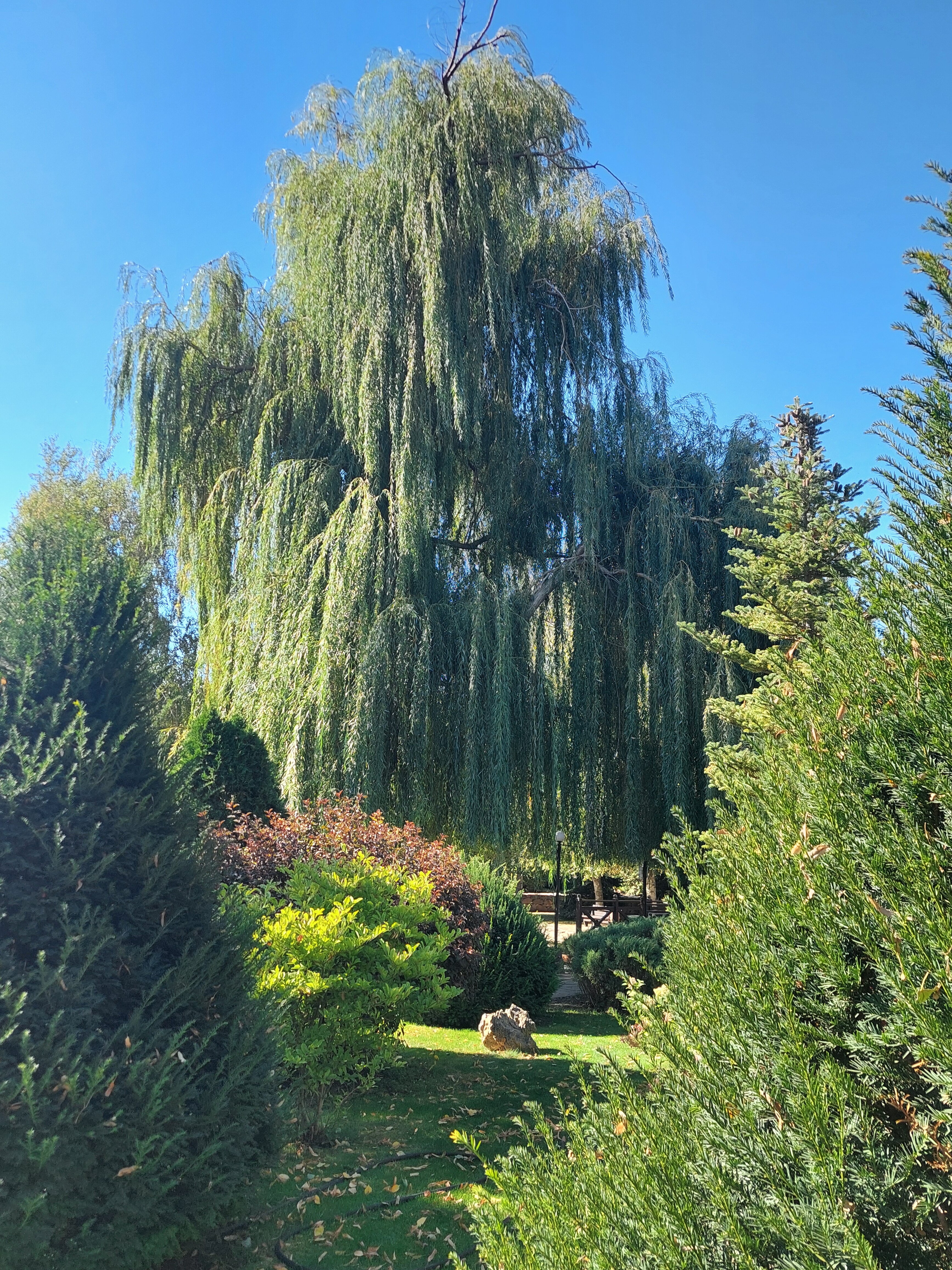 Фото Казачья пристань