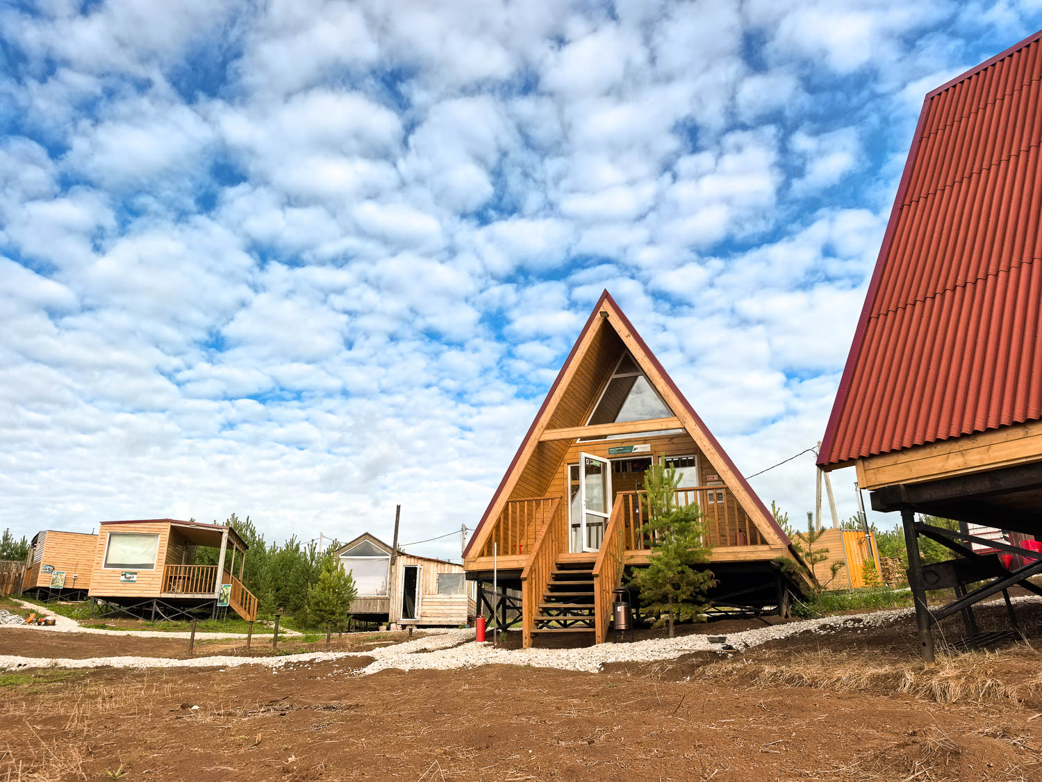 Фото Елки Иголки