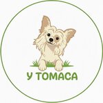 U Tomasa (KIMa Avenue, 28Б), baytarlıq klinikası