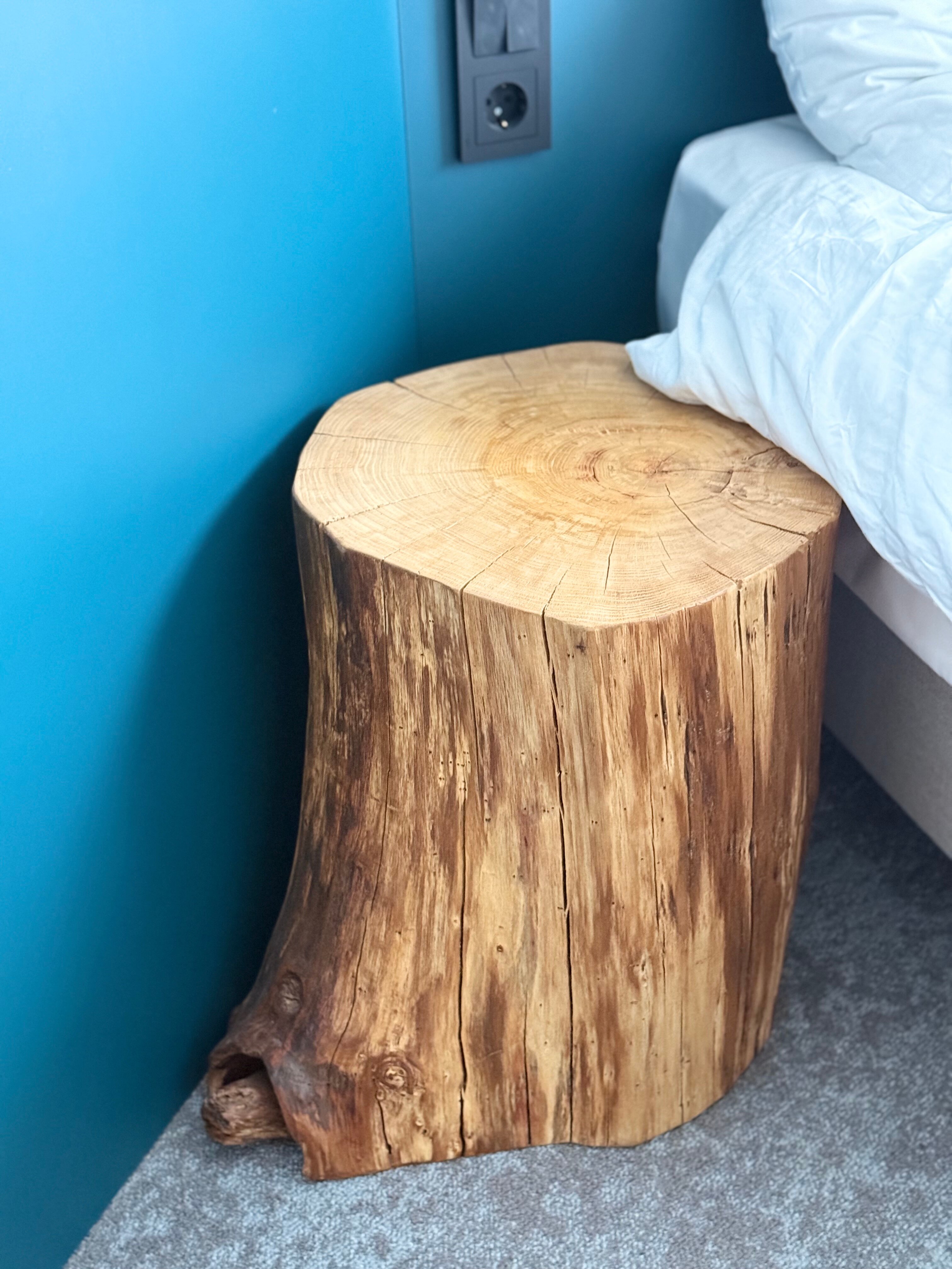 Фото Отель Нега