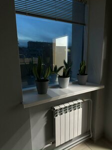 Хостел Квартирант