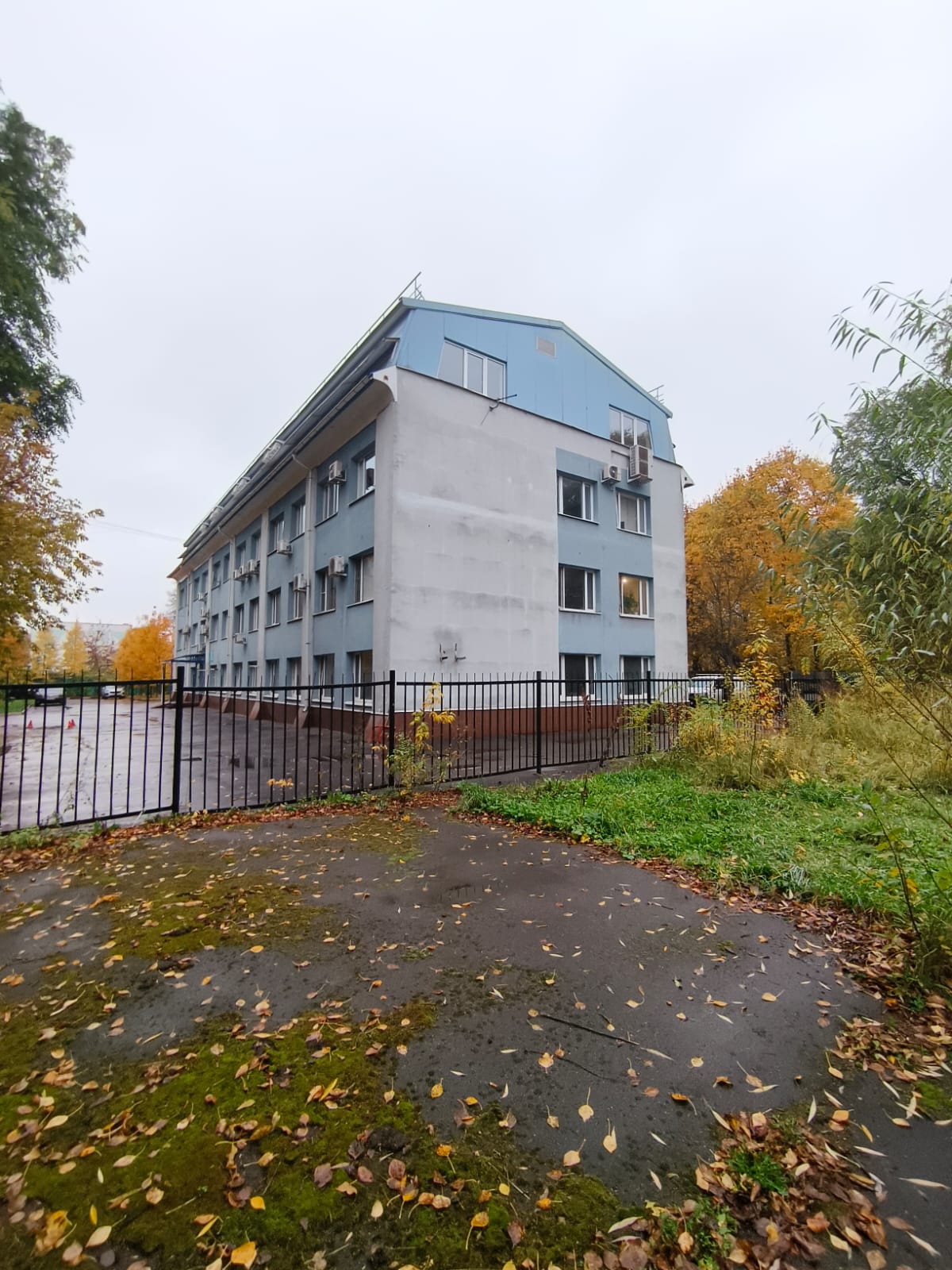 Фото Ботаник Life