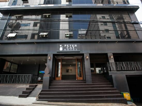 Фото Shinchon Peter Cat