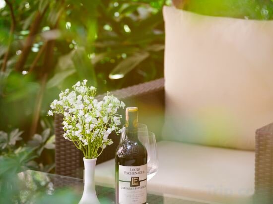 Фото Hotel Thrive A Tropical Courtyard