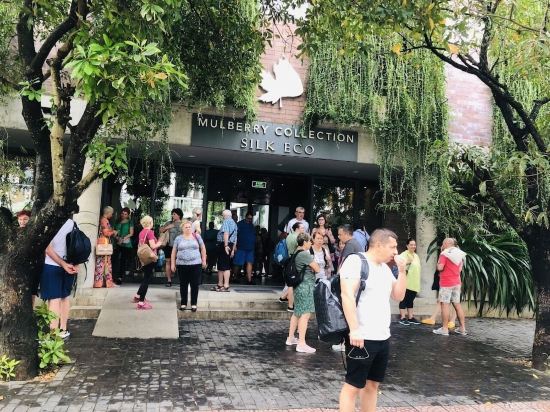 Фото Mulberry Collection Silk Eco