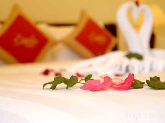 Фото NuNi Hoi An Homestay