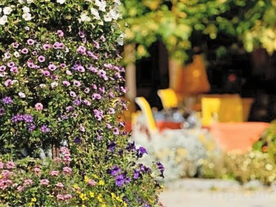 Фото Hotel Beausite