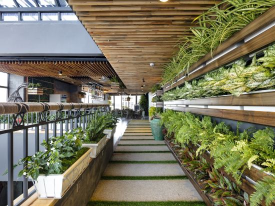 Фото Erica Nha Trang Hotel