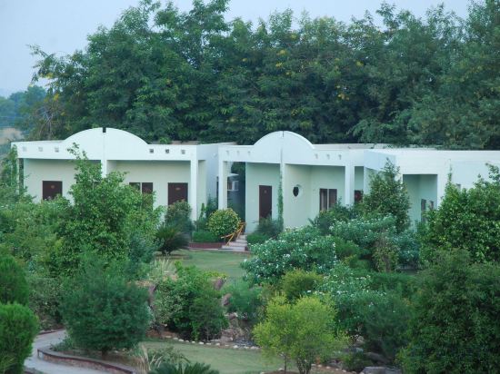 Фото Treehouse The Pugmark