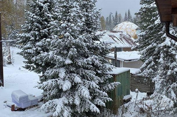 Фото Ski apart Снегири