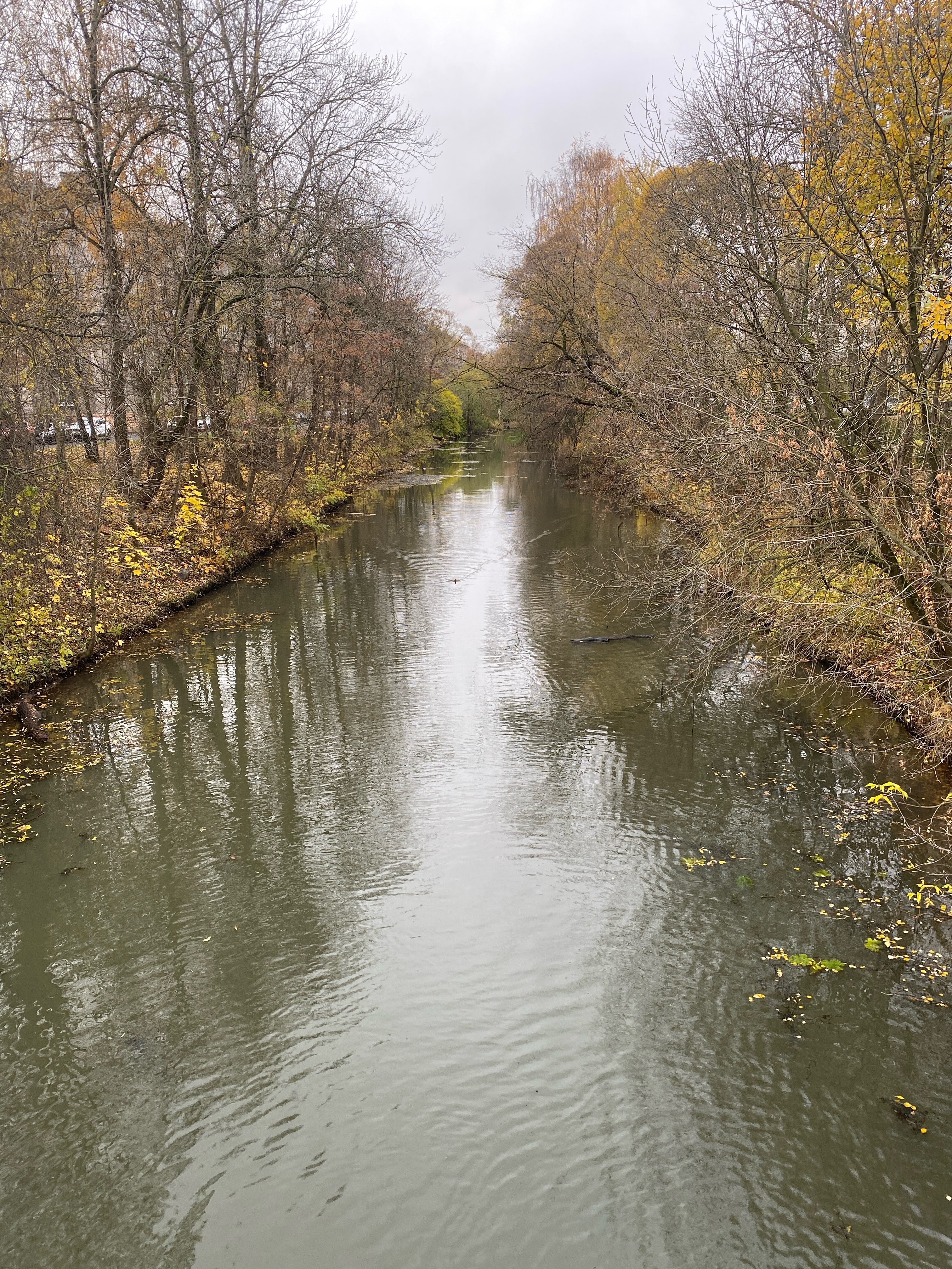 Фото Best Western Zoom Hotel