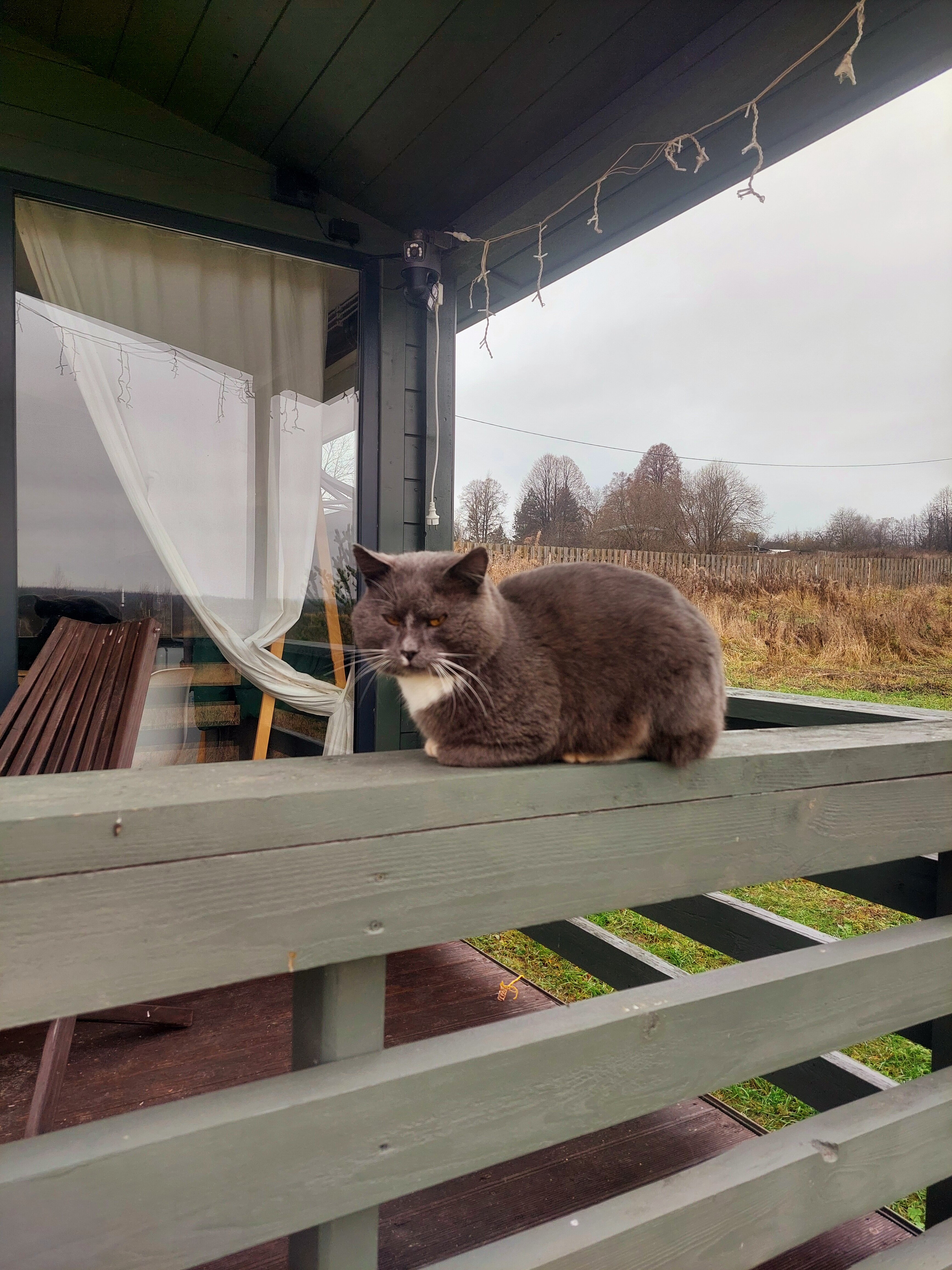Фото Dobrilovo Village