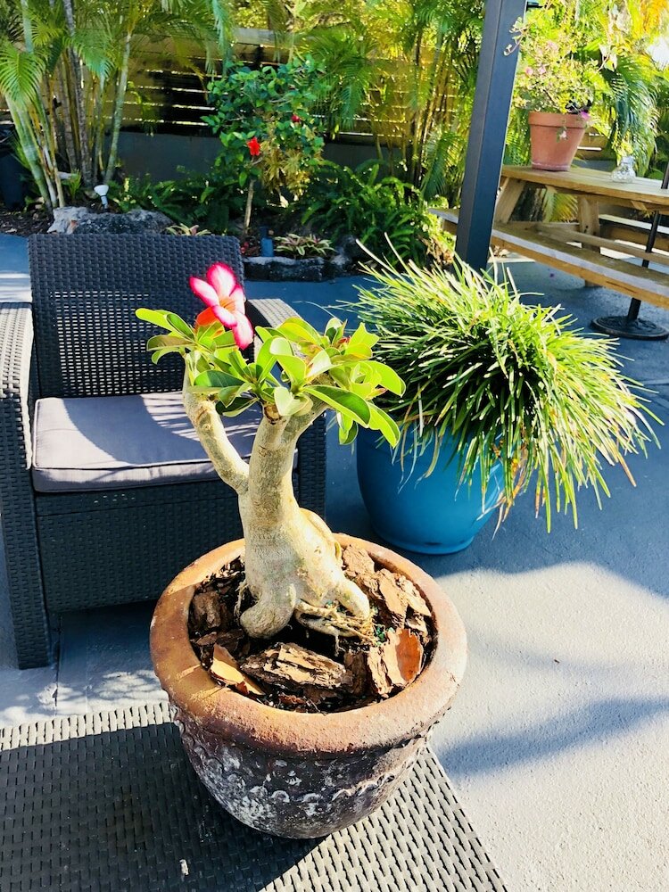 Фото Oasis Hotel