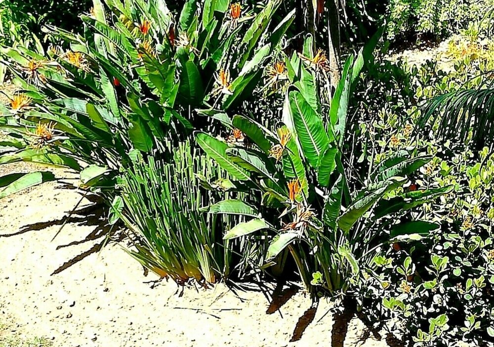 Фото De Wingerd Wijnland Lodge