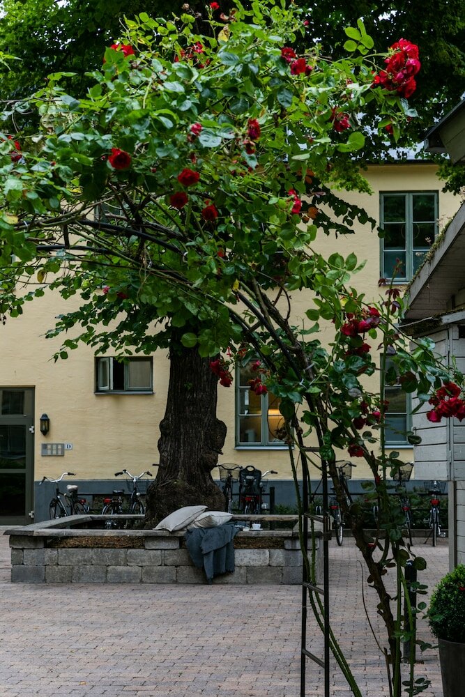 Фото The More Hotel Mazetti