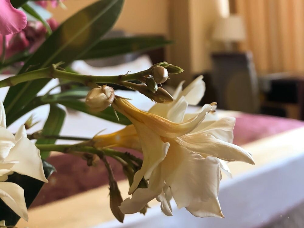 Фото Hotel Kompleksi Arifi