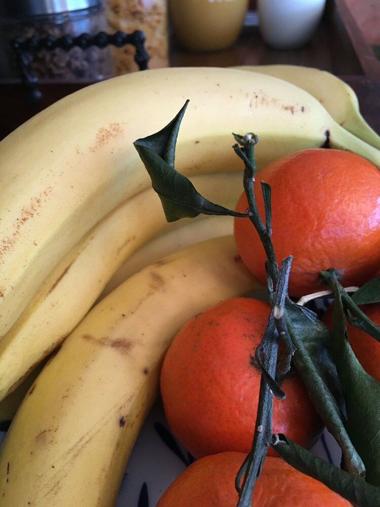 Фото Pension Wegerich