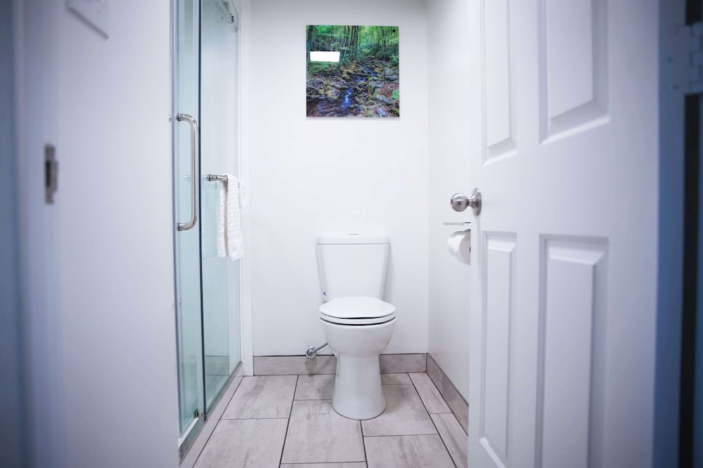 Фото Best Western Tree City Inn