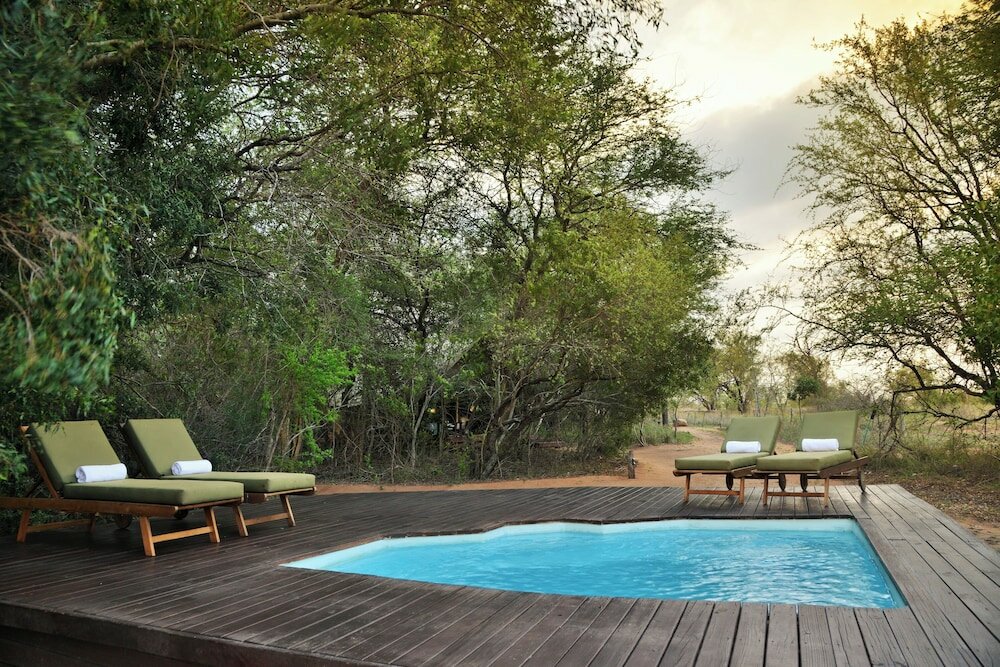 Фото Rhino Walking Safaris