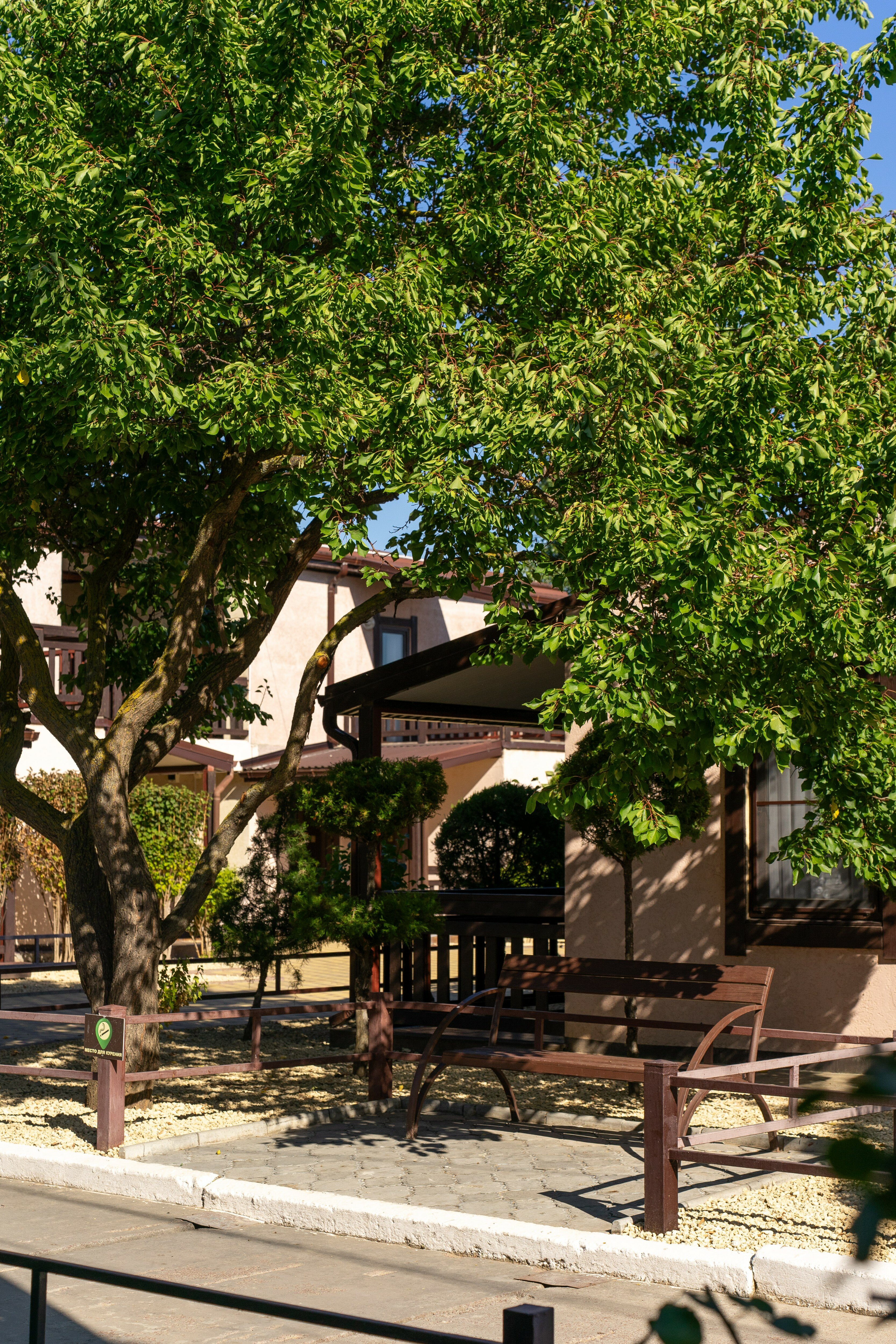 Фото Благовещенка