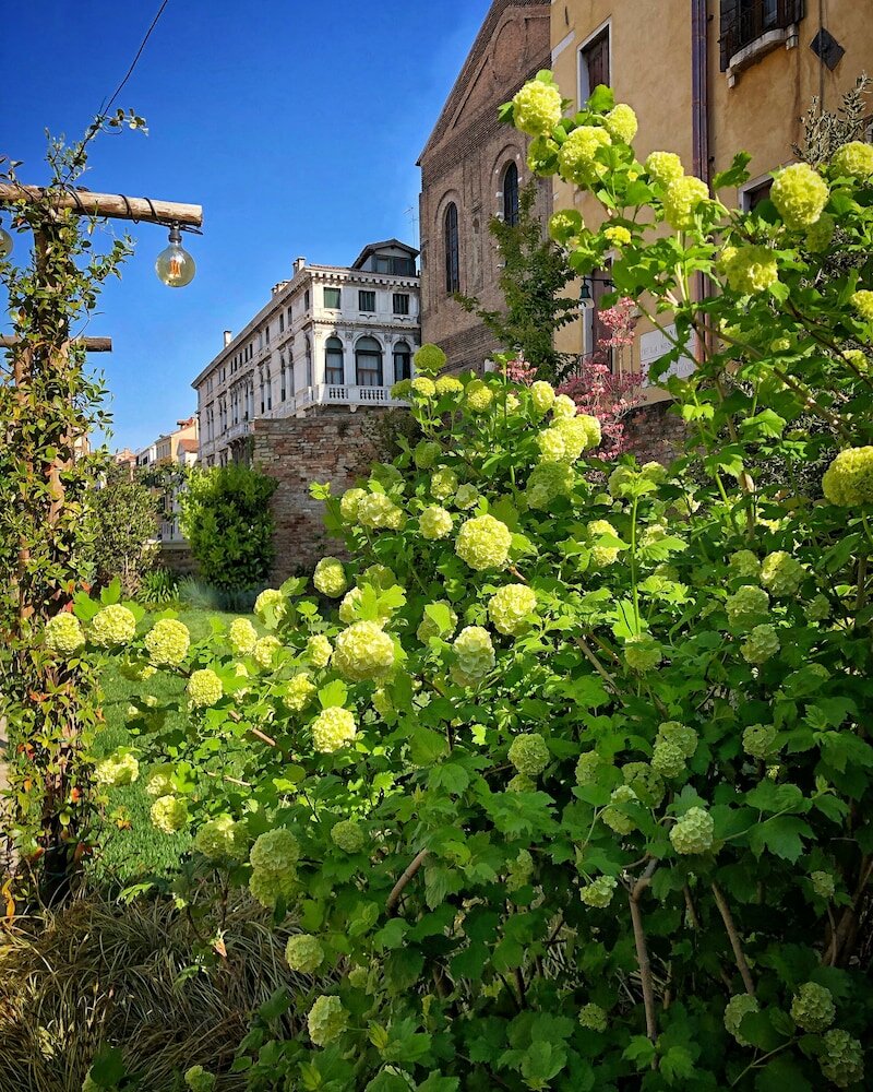 Фото Madama garden retreat