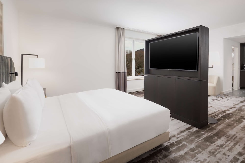 Фото Hilton Heidelberg