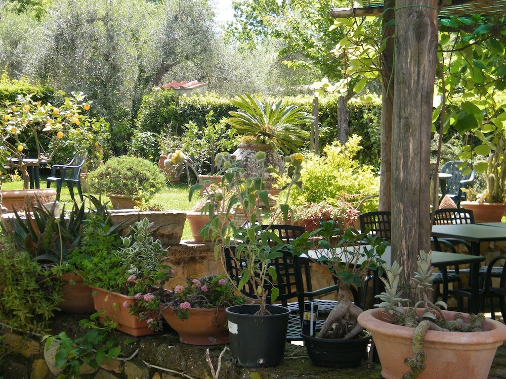 Фото Agriturismo Poggio Alle Lame