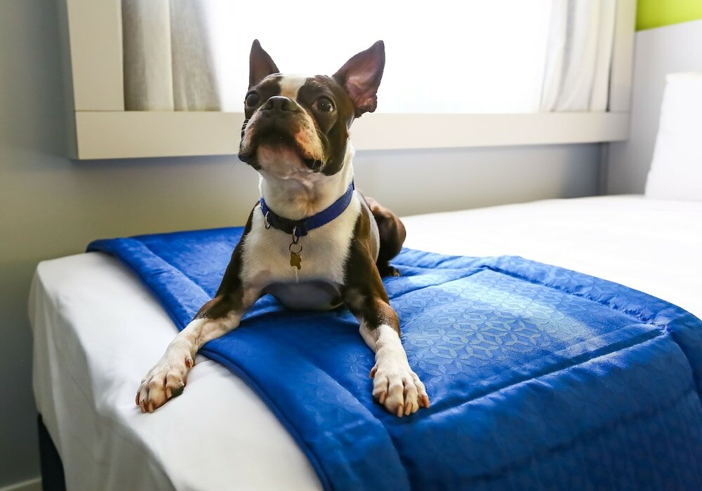 Фото Go Inn Santo André