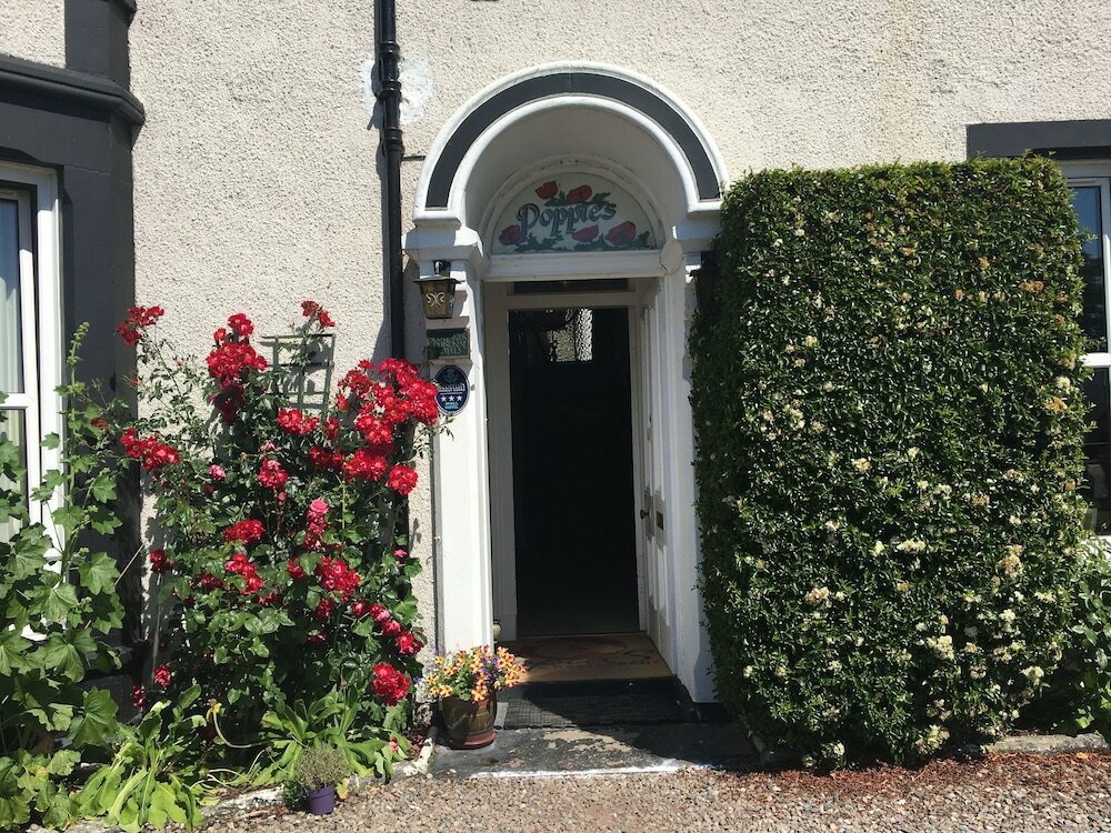 Фото Poppies Hotel