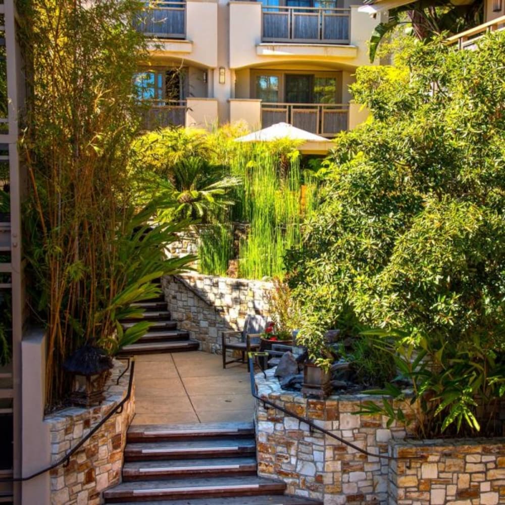 Фото Tradewinds Carmel