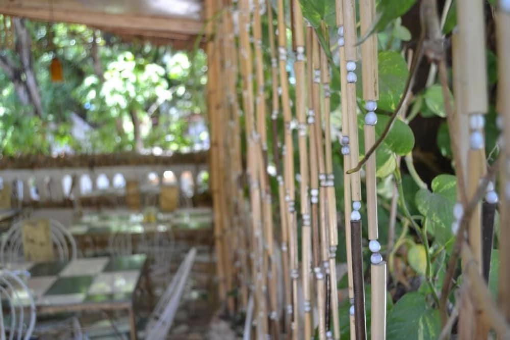 Фото Pacot Breeze