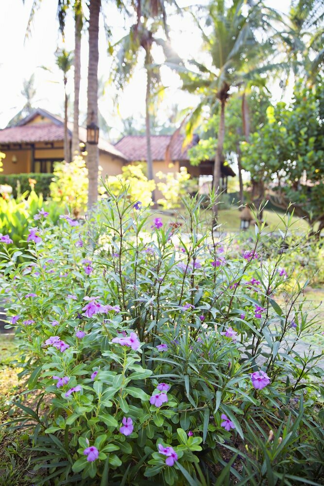 Фото Seahorse Resort & SPA