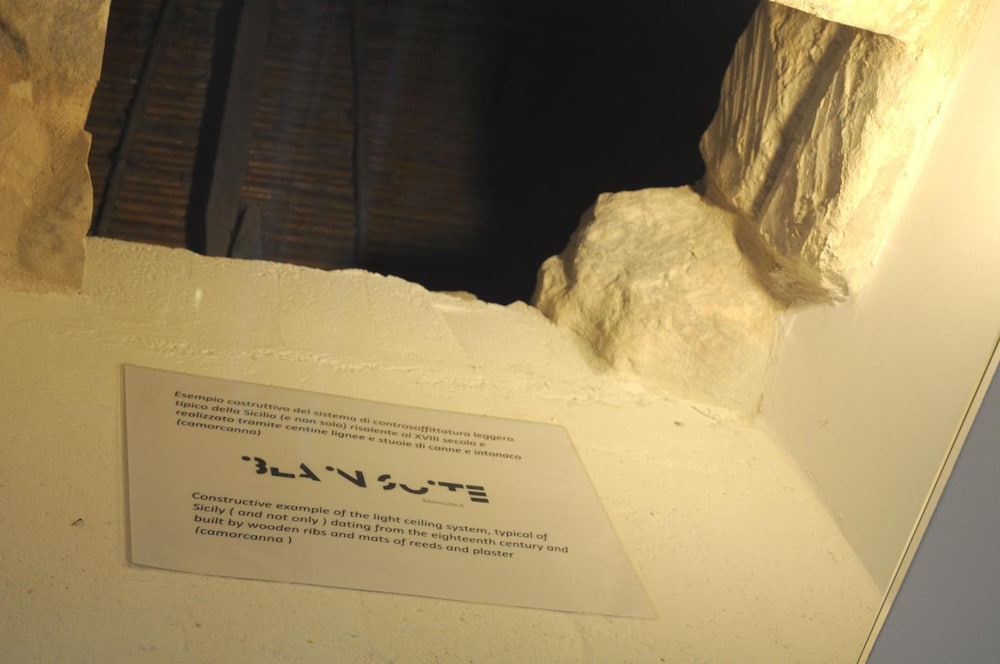 Фото Iblainsuite