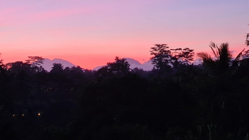 Фото Ayurvedagram Bali