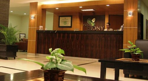 Гостиница Hotel Ebony Batulicin в Провинции Южный Калимантан