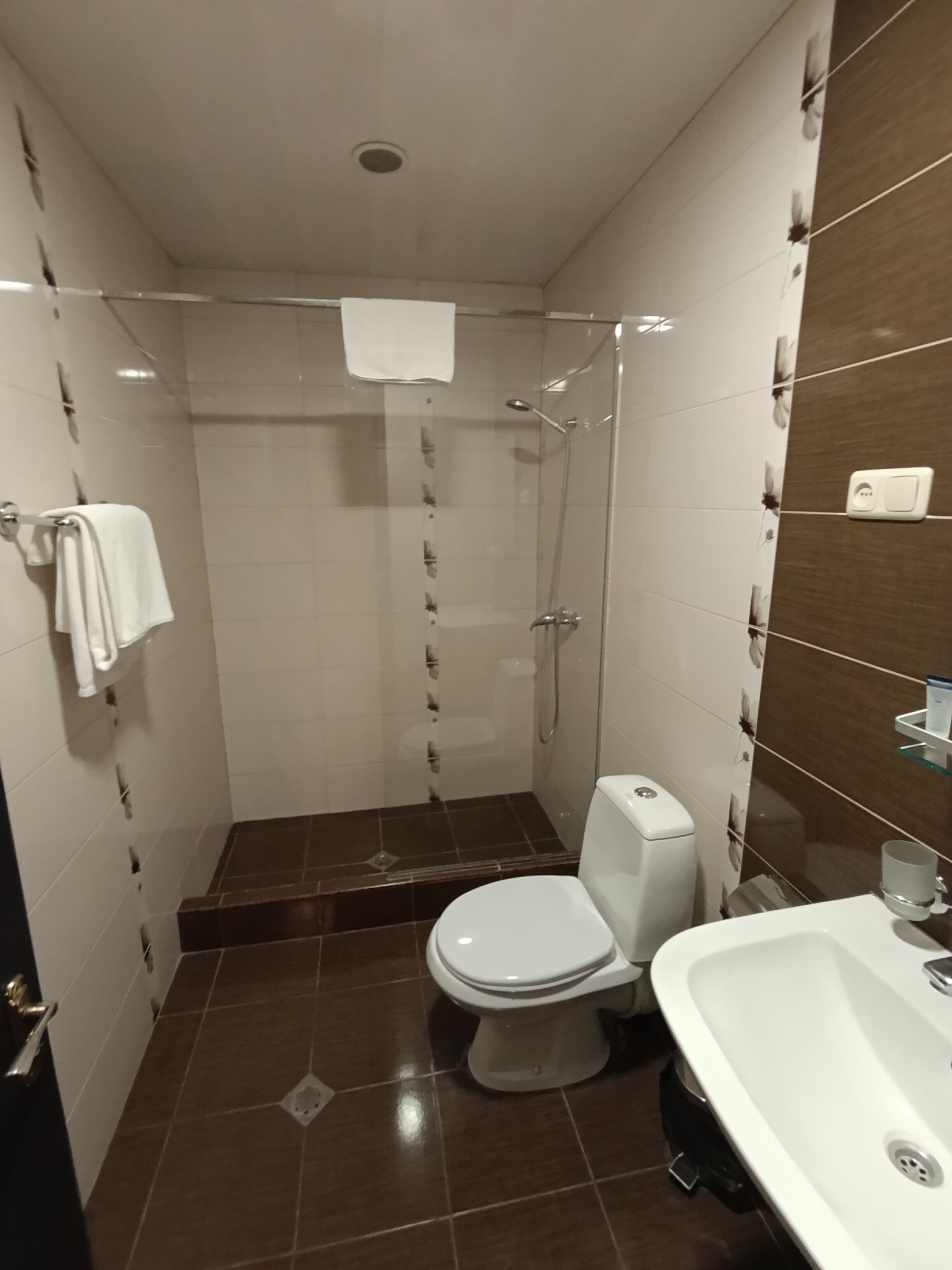 Фото Ani Central Inn