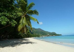 Гостиница Beau Vallon Bungalows