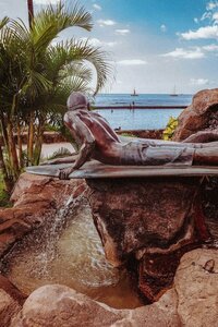 Гостиница Royal Grove Waikiki