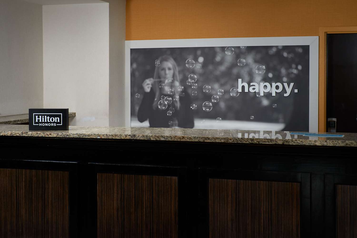 Фото Hampton Inn Ann Arbor-South